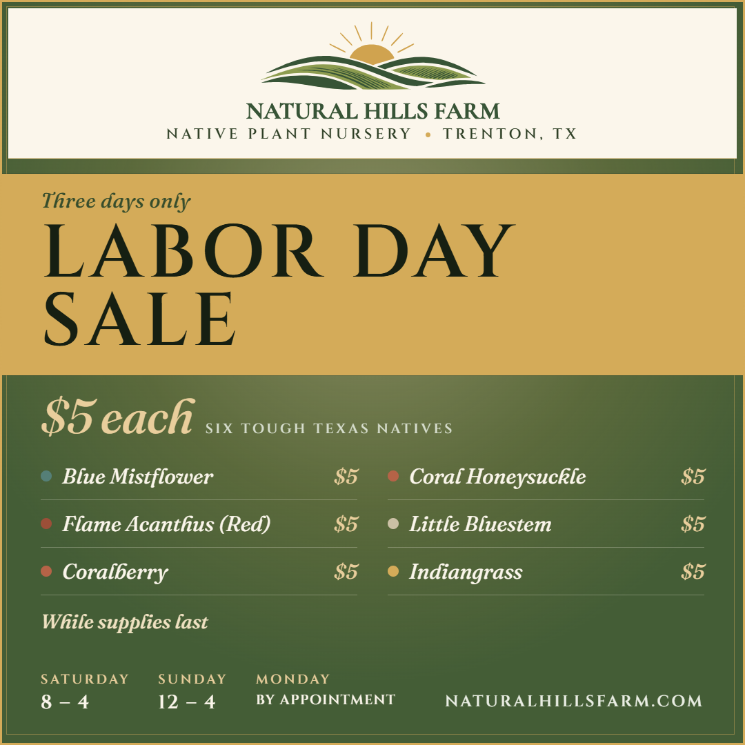 Labor Day sale — $5 each, six tough Texas natives. Saturday 8 to 4, Sunday 12 to 4, Monday by appointment.
